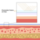 Photostable Triazine UV Filter